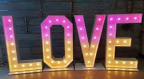 Lichtletters - Love (roze/warm wit)